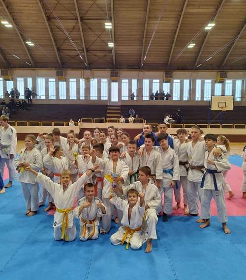 ŽUPANIJSKO NATJECANJE U JUDU ZA UČENICE I UČENIKE OSNOVNIH ŠKOLA