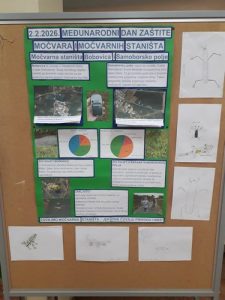 Projekt Zaštita močvara i močvarnih staništa