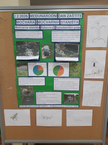 Projekt Zaštita močvara i močvarnih staništa