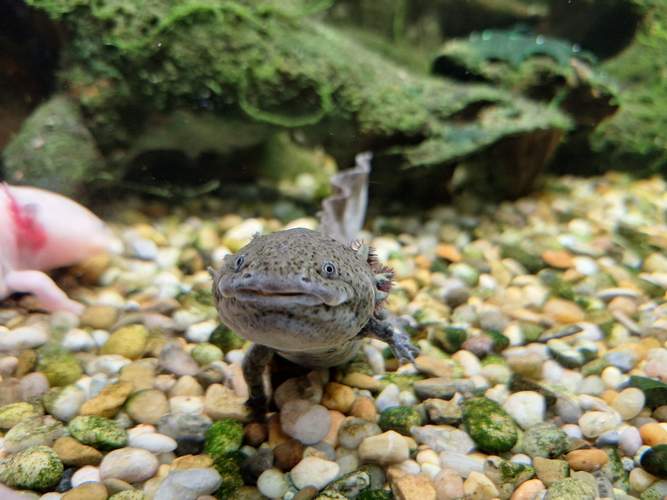 Peti razredi u posjetu Zoološkom vrtu: Svijet kroz objektiv naših mladih fotografa!